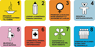 Declaración del Milenio de la ONU