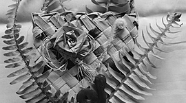 Timeline: Te reo & Tikanga Māori