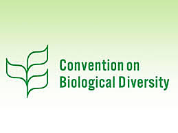 Convenio de la biodiversidad