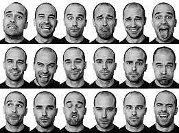 Kinésica  ( 1-2 años )