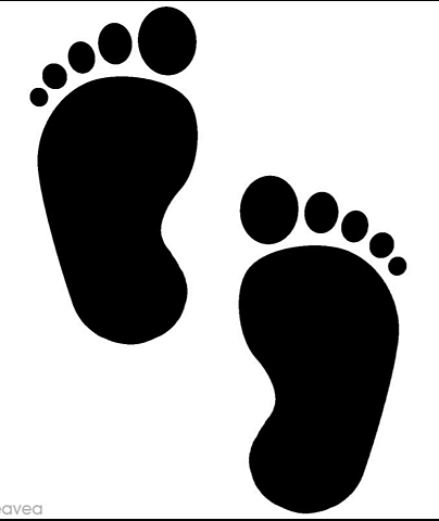 Quan vaig començar a caminar 2008