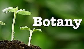 Botany