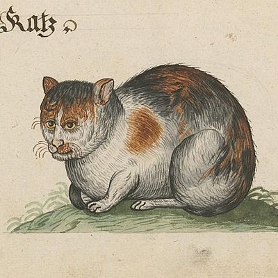 Timeline: Middeleeuwen