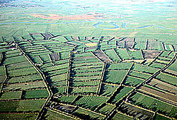 Enclosure Movement/Enclosure Acts