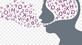 Timeline: Aprendizajes obtenidos durante el curso