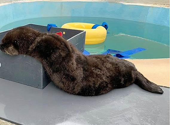 Tres meses en el refugio