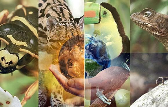 El ser humano es un ser integral.