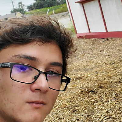 Timeline: Michael Reeves.