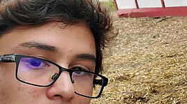 Timeline: Michael Reeves.