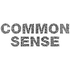 Common sense