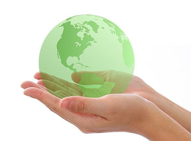 Comisión Mundial sobre el Medio Ambiente y el Desarrollo.