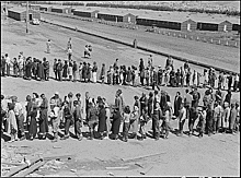 Korematsu v. the United States