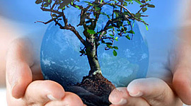 Timeline: Antecedentes del desarrollo sustentable