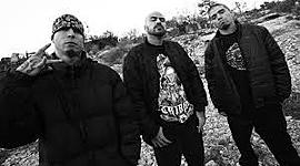 Timeline: cartel de santa