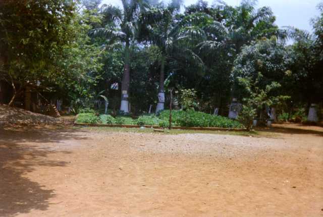 nueva sede la   sede  c