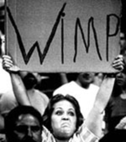 WIMP: Window, Icon, Menu, Pointer