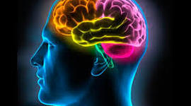 Timeline: Cronologia