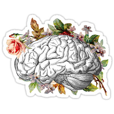 Timeline: Cronologia