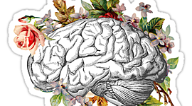 Timeline: Cronologia