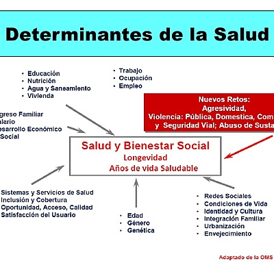 Timeline: Los antecedentes para llegar a entender los determinantes de la salud
