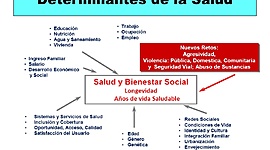 Timeline: Los antecedentes para llegar a entender los determinantes de la salud