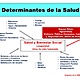 Determinantes sociales de la salud 27 728