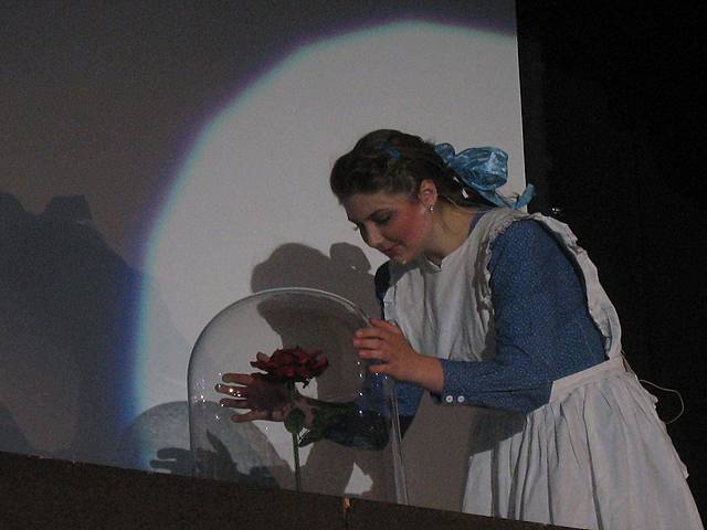 Played Belle in Beauty & the Beast Play