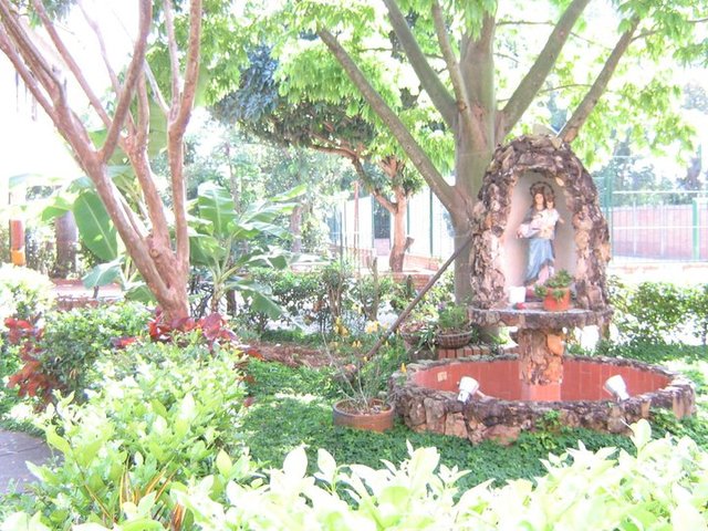 nivel alto en resultados de estado