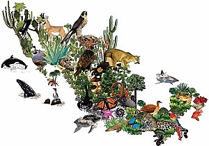 Semarnat expide la Norma Oficial Mexicana NOM-ECOL-059-2001