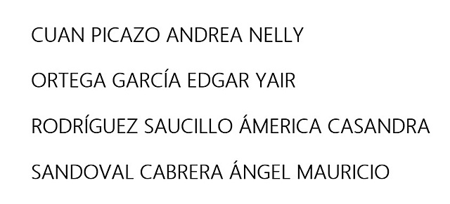 INTEGRANTES DEL EQUIPO