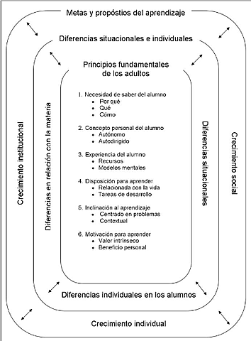 El modelo andragógico