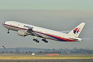 Dos avions caiguts de la companyia Malaysia Airlines