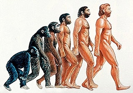 Surgimiento del Evolucionismo Unilineal.
