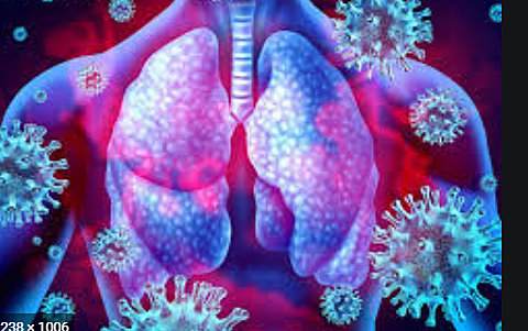 va passar el covid 19