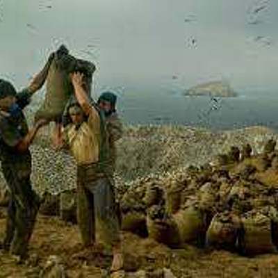 Timeline: Perú en el tiempo del huano y el salitre