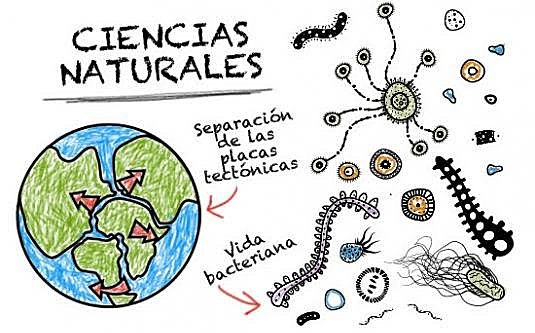 Ciencia y Lingüística.
