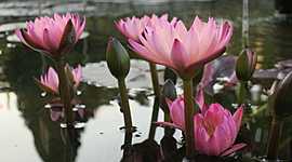 Timeline: Autobiografia_AlessandroM