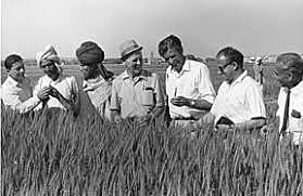 Feeding the World (Borlaug)