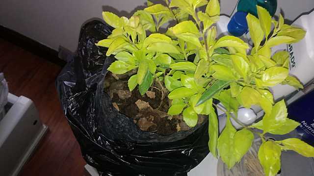 13 de Noviembre 2020.