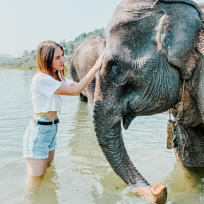 Timeline: Autobiografia_DilettaB