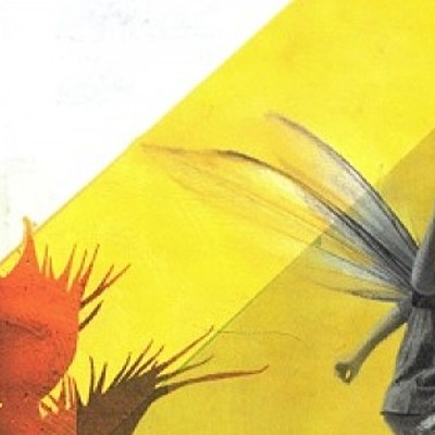 Timeline: DONDE ESTA LA FRANJA AMARILLA