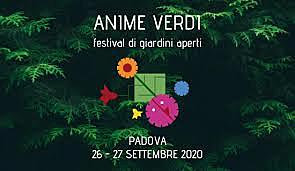 Anime Verdi