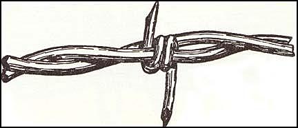 The Barbed Wire