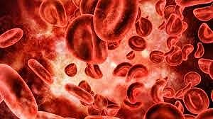 Preguntas sobre la ¨SANGRE¨