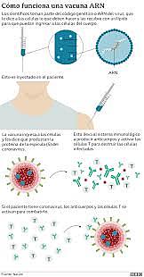 Coronavirus - covid 19