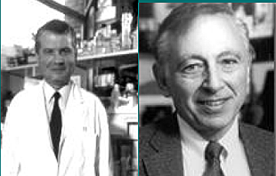 Luc Montagnier y Renato Gallo