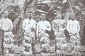 CONSOLIDACION DE UN ESTADO OLIGARQUICO TERRATENIENTE