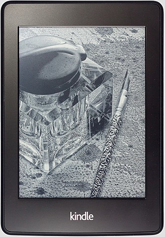 Kindle Paperwhite 2nd generation.