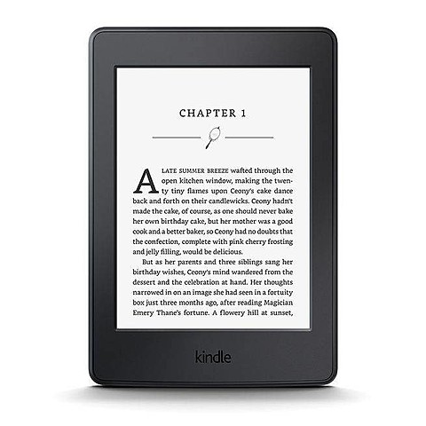 Kindle Paperwhite 3rd generation.