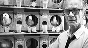 B.F. Skinner
